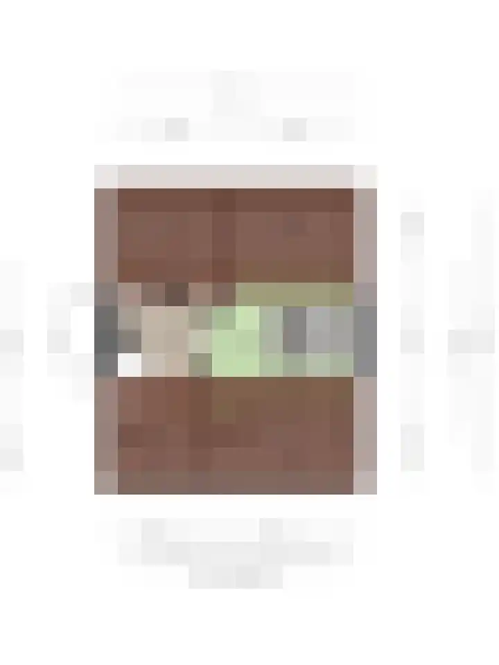 Tuinstraat 13 C Den Dungen thumbnail 36