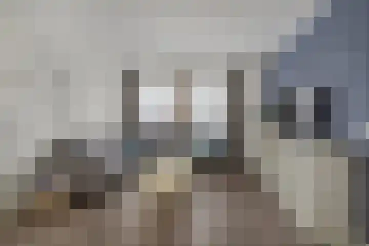 Tuinstraat 13 C Den Dungen thumbnail 9