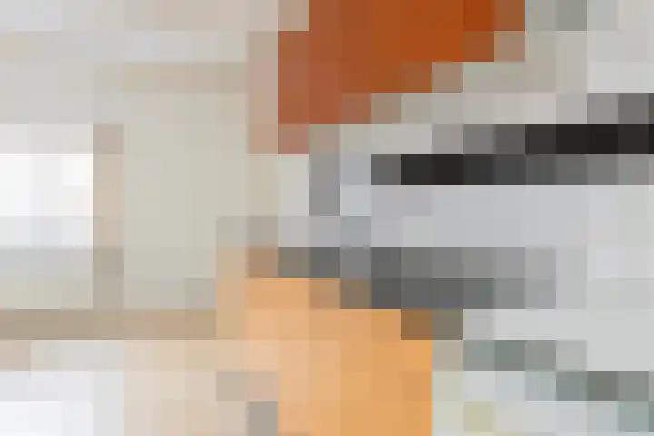 Tuinstraat 14 Groningen thumbnail 16