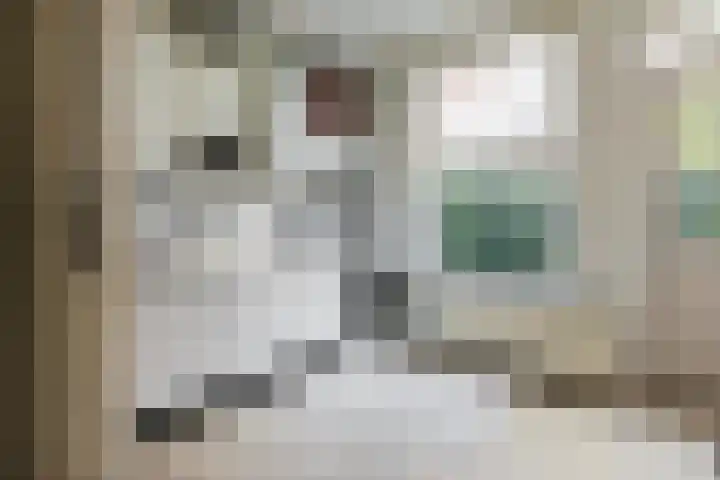 Tuinstraat 14 Groningen thumbnail 22