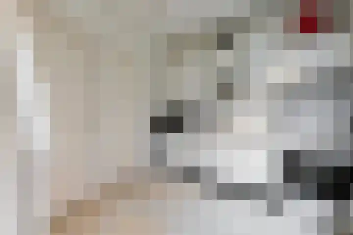 Tuinstraat 14 Groningen thumbnail 23