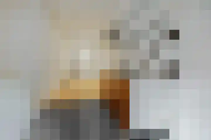 Tuinstraat 14 Groningen thumbnail 8