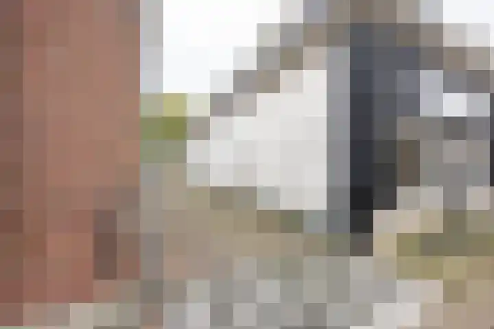Tuinstraat 2 Makkum thumbnail 5