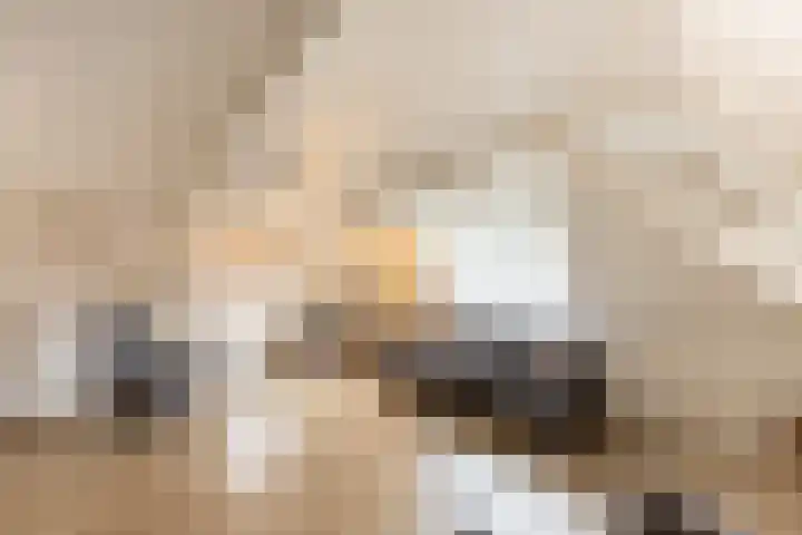 Tuinstraat 2 Makkum thumbnail 9
