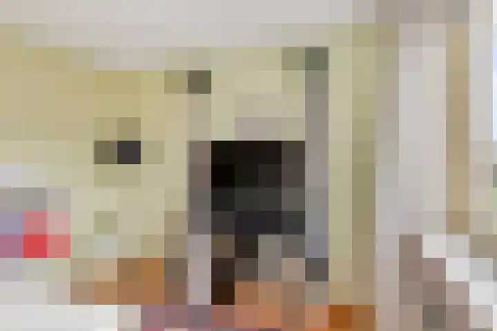 Tuinstraat 22 Lobith thumbnail 29