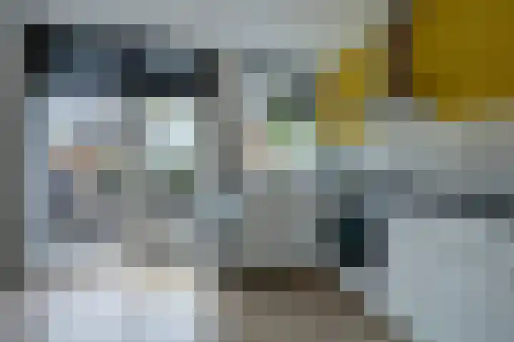 Tuinstraat 24 a Gouda thumbnail 15