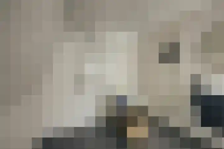 Tuinstraat 24 a Gouda thumbnail 26
