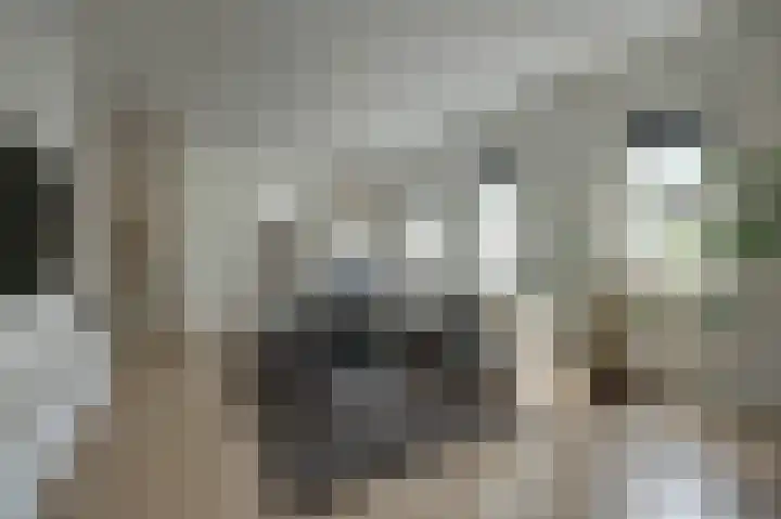 Tuinstraat 24 a Gouda thumbnail 4
