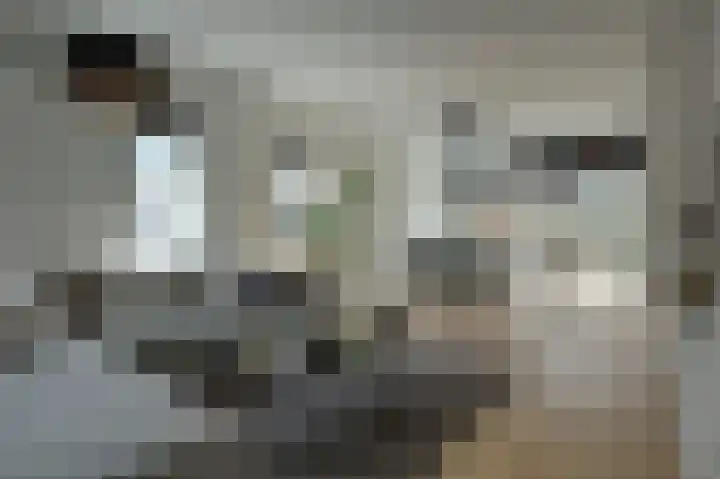 Tuinstraat 24 a Gouda thumbnail 5