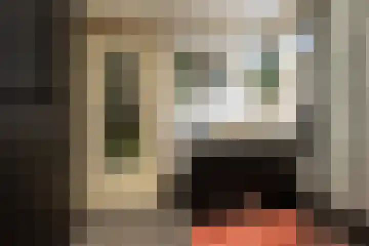 Tuinstraat 24 Dirksland thumbnail 15