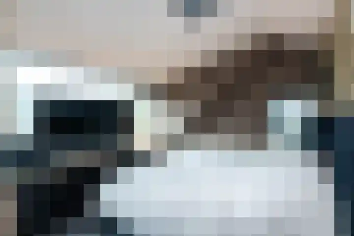 Tuinstraat 24 Dirksland thumbnail 19