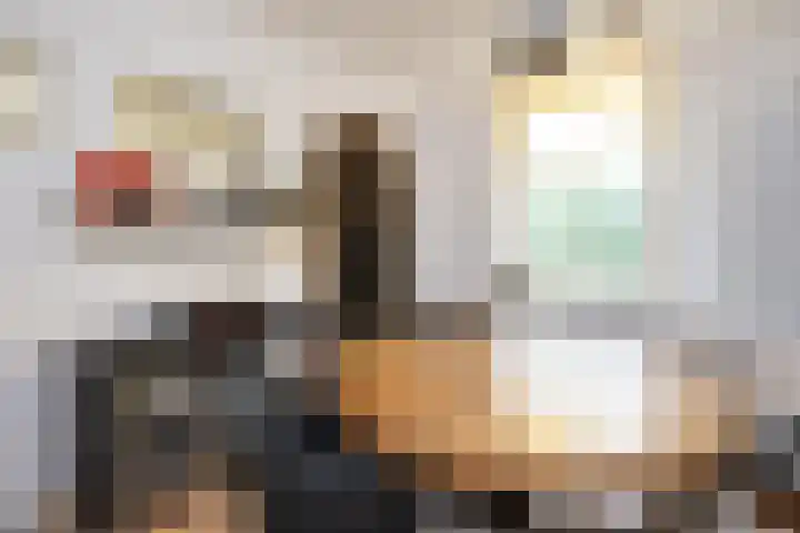 Tuinstraat 24 Dirksland thumbnail 8