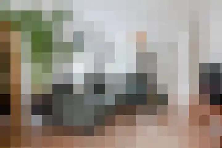 Tuinstraat 24 Gouda thumbnail 15