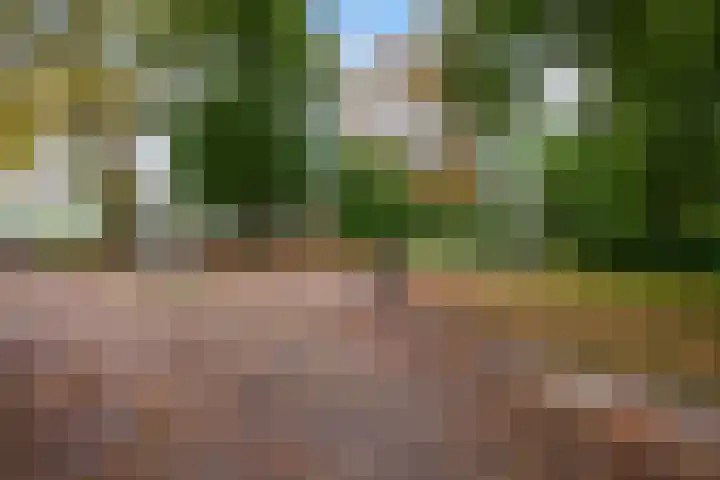 Tuinstraat 24 Gouda thumbnail 39
