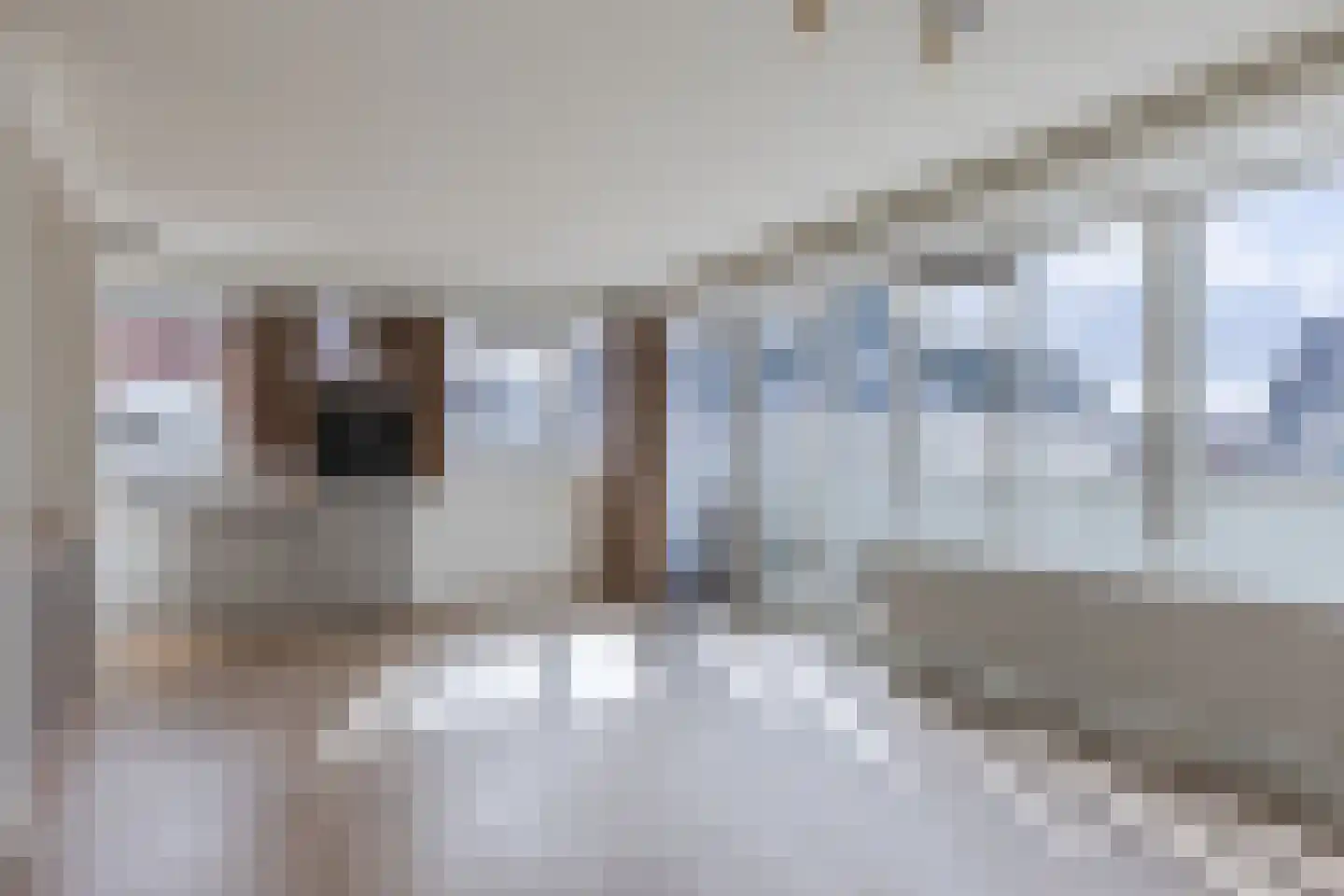 Tuinstraat 33 b Tilburg thumbnail 12