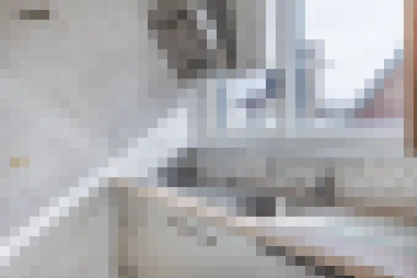 Tuinstraat 33 b Tilburg thumbnail 20