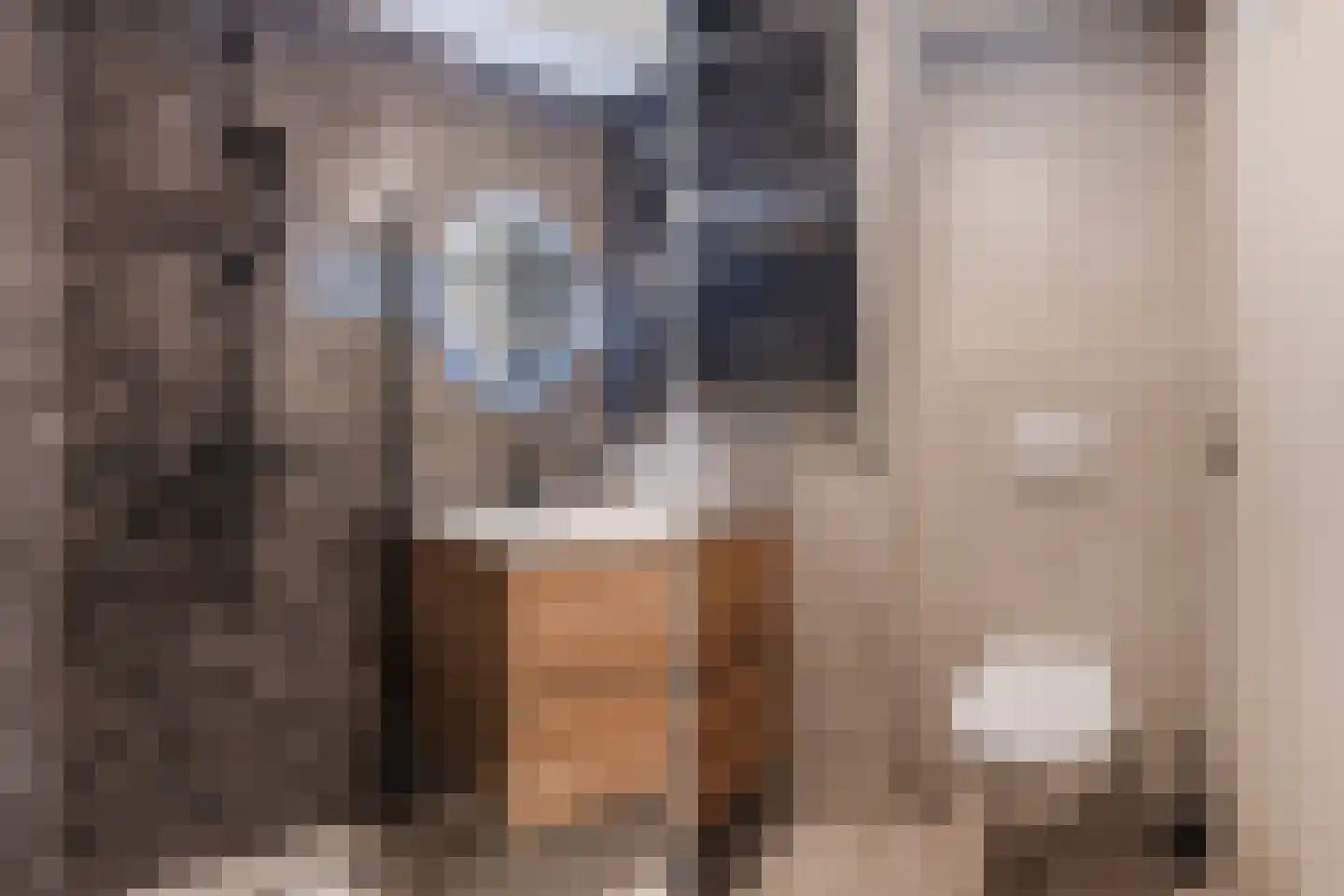 Tuinstraat 33 b Tilburg thumbnail 28