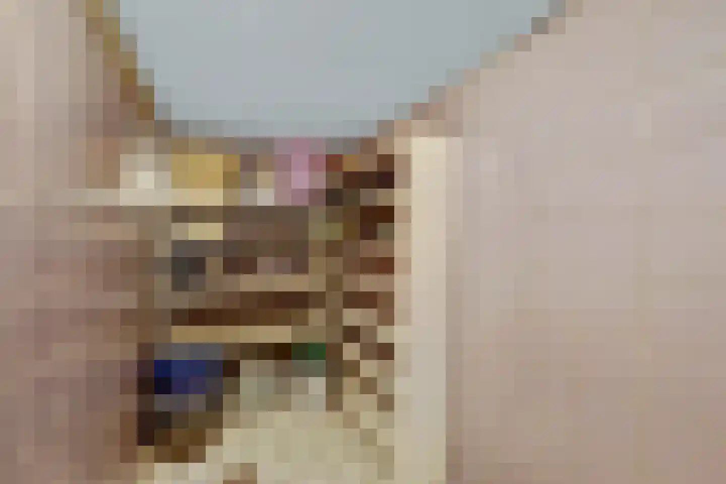 Tuinstraat 40 Rijen thumbnail 39