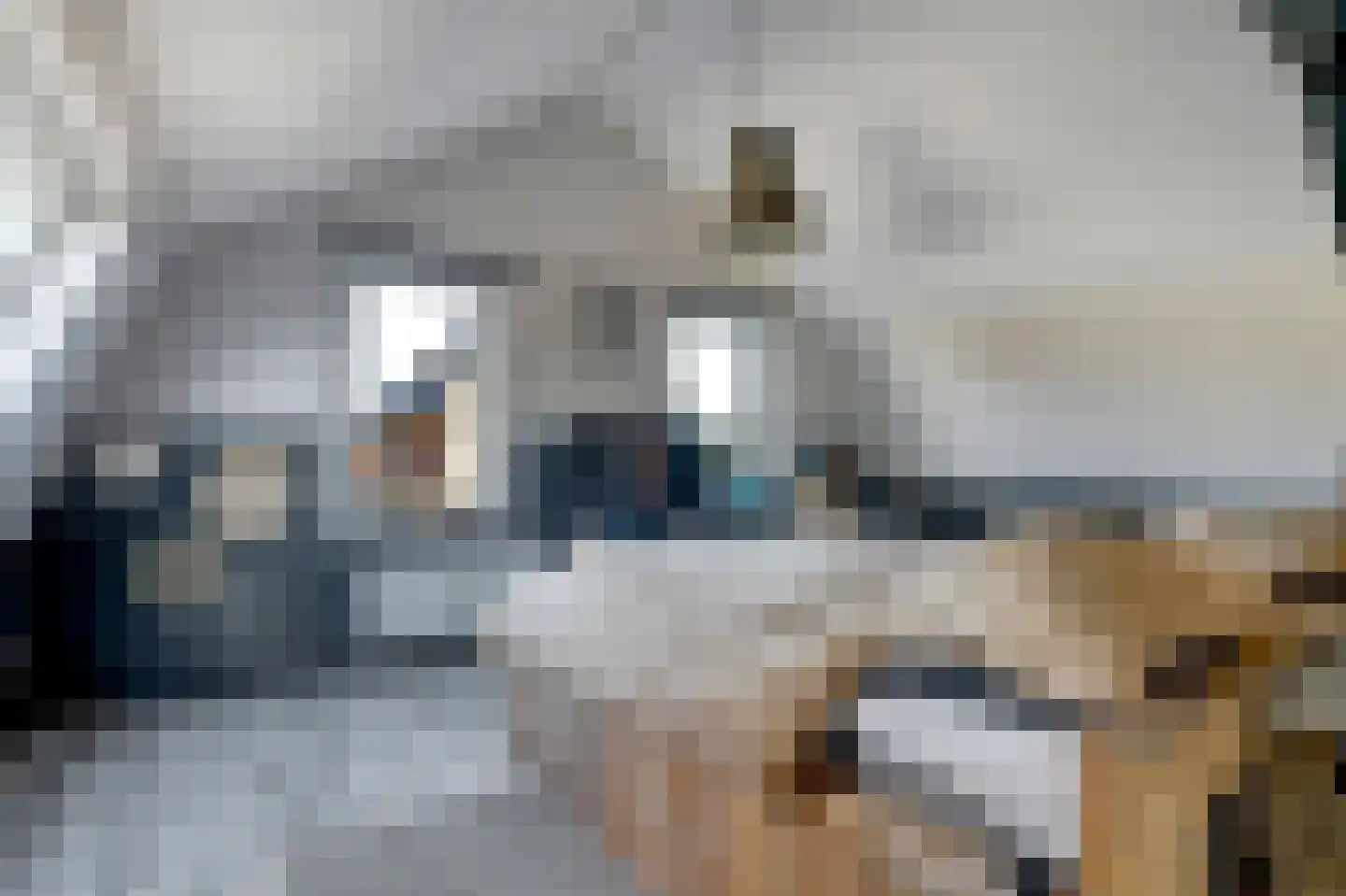 Tuinstraat 40 Rijen thumbnail 45