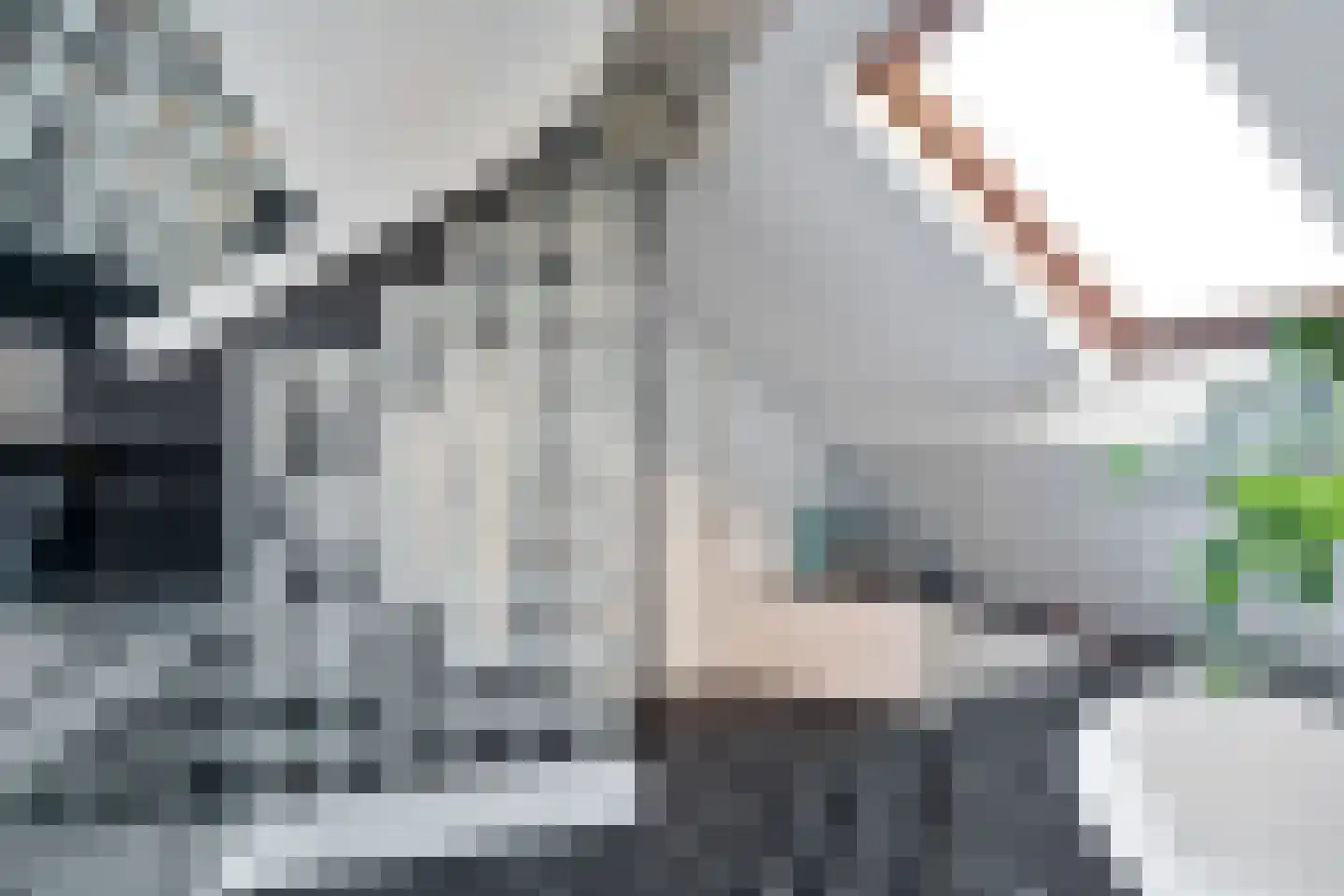 Tuinstraat 40 Rijen thumbnail 51