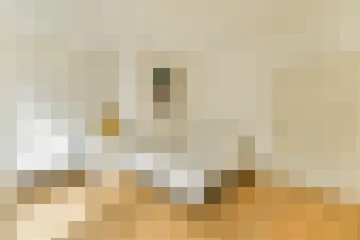 Tuinstraat 48 1 Amsterdam thumbnail 11