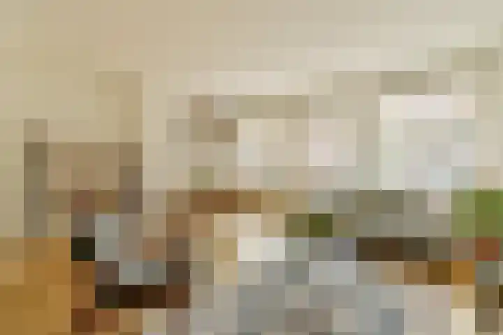 Tuinstraat 48 1 Amsterdam thumbnail 19