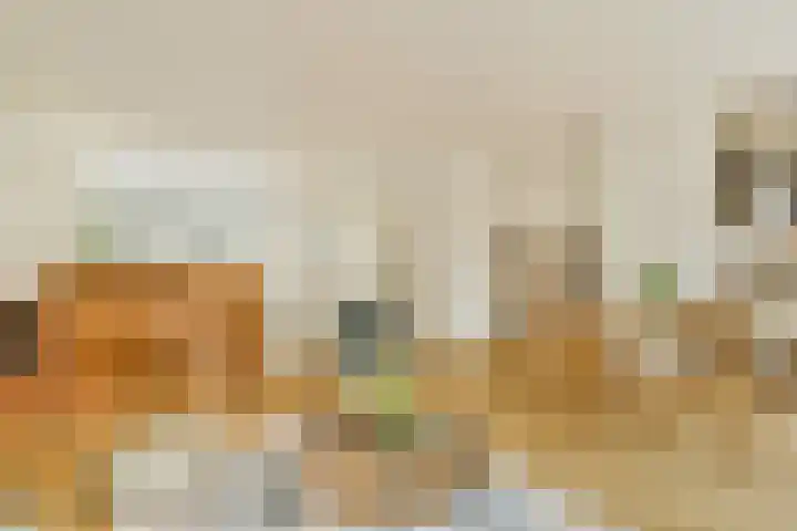 Tuinstraat 48 1 Amsterdam thumbnail 21