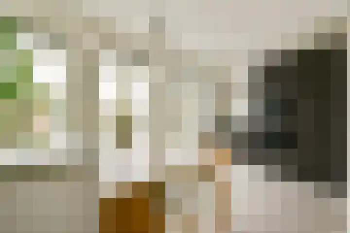 Tuinstraat 48 1 Amsterdam thumbnail 24
