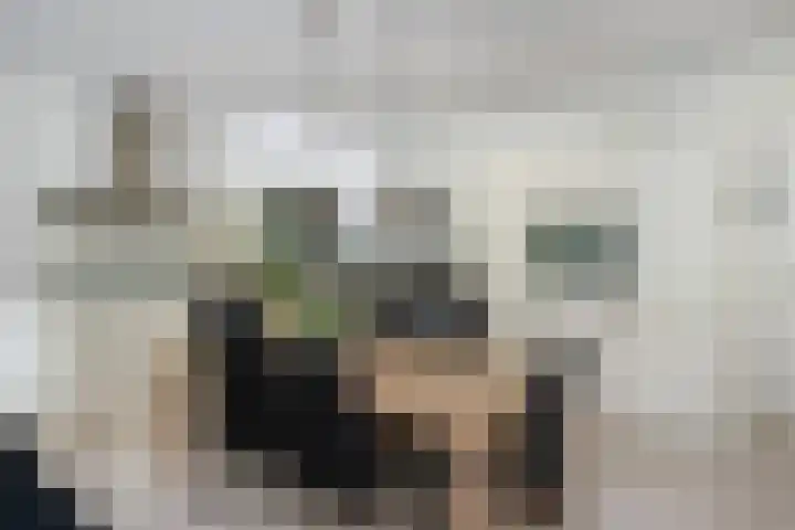 Tuinstraat 5 Dirksland thumbnail 12