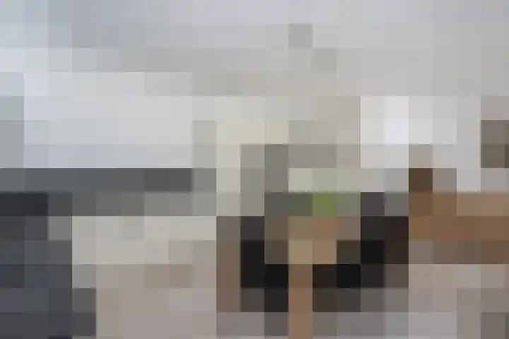 Tuinstraat 5 Dirksland thumbnail 13