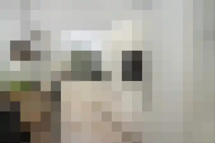 Tuinstraat 5 Dirksland thumbnail 14