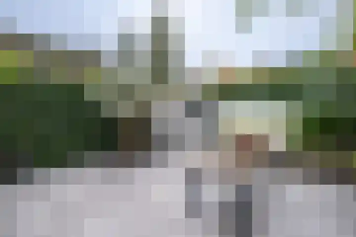 Tuinstraat 5 Dirksland thumbnail 25