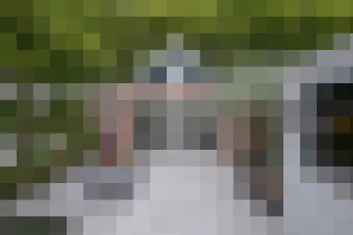 Tuinstraat 5 Dirksland thumbnail 27