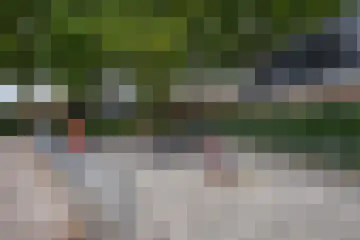 Tuinstraat 5 Dirksland thumbnail 29