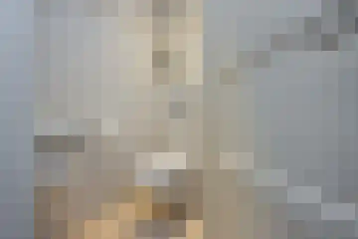 Tuinstraat 5 Dirksland thumbnail 6