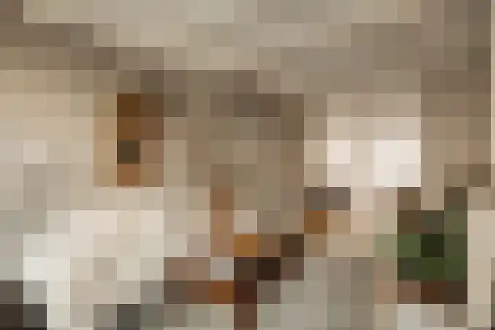 Tuinstraat 54 Amsterdam thumbnail 14