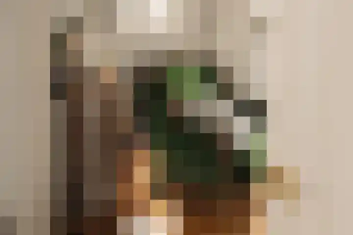 Tuinstraat 54 Amsterdam thumbnail 17