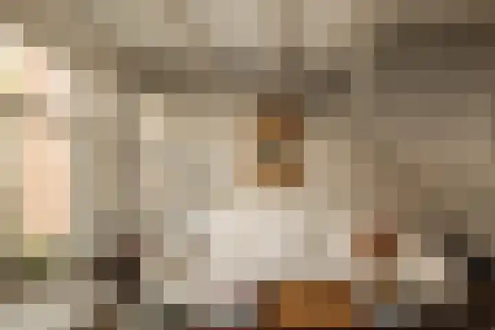 Tuinstraat 54 Amsterdam thumbnail 18