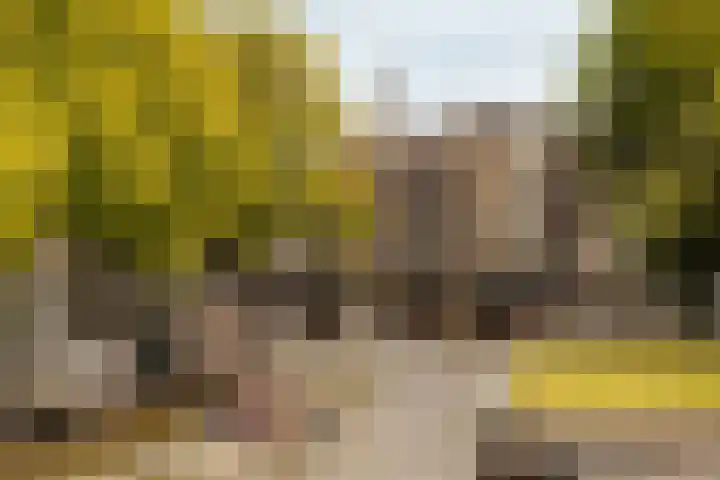 Tuinstraat 54 Amsterdam thumbnail 35