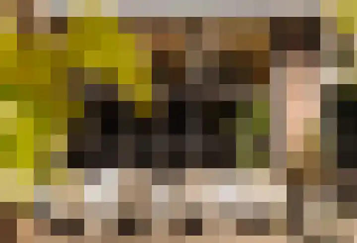 Tuinstraat 54 Amsterdam thumbnail 37