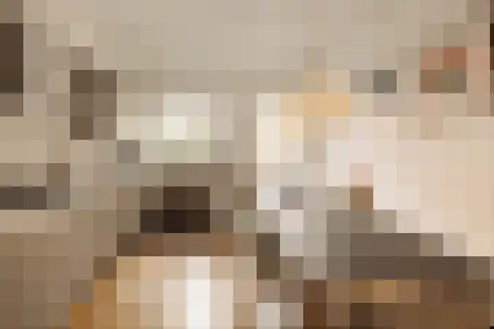 Tuinstraat 54 Amsterdam thumbnail 4