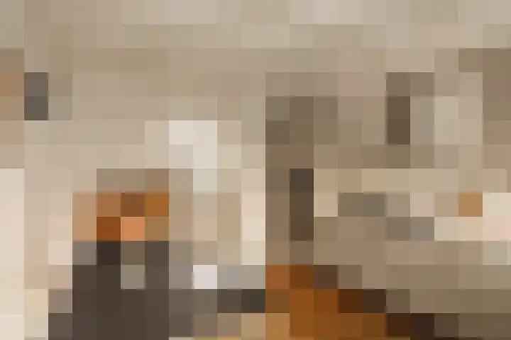 Tuinstraat 54 Amsterdam thumbnail 6