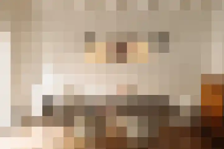 Tuinstraat 54 Amsterdam thumbnail 7