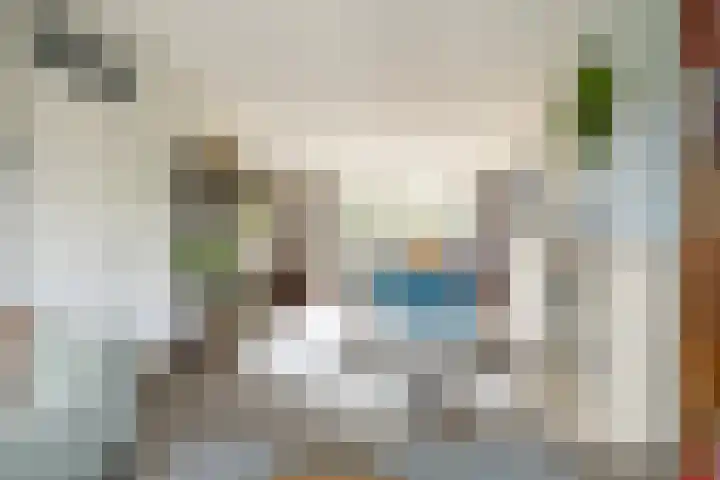 Tuinstraat 58 De Bilt thumbnail 11
