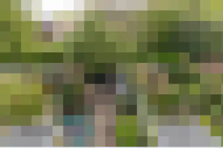 Tuinstraat 58 De Bilt thumbnail 32