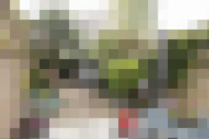 Tuinstraat 58 De Bilt thumbnail 33
