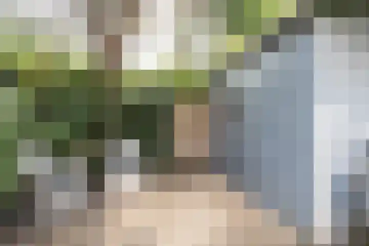 Tuinstraat 58 De Bilt thumbnail 37