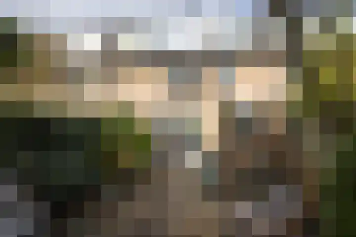 Tuinstraat 58 De Bilt thumbnail 40