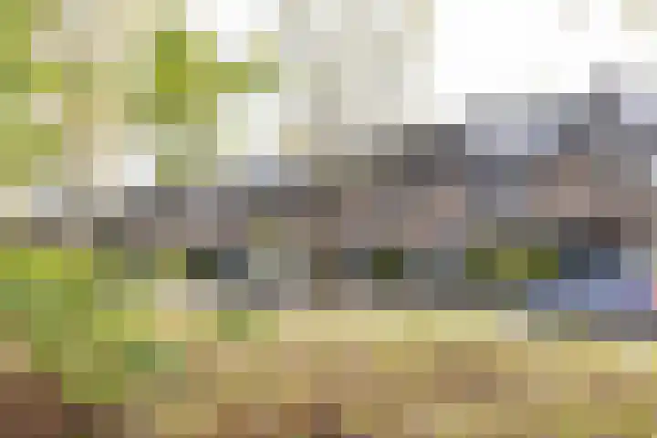 Tuinstraat 58 De Bilt thumbnail 43