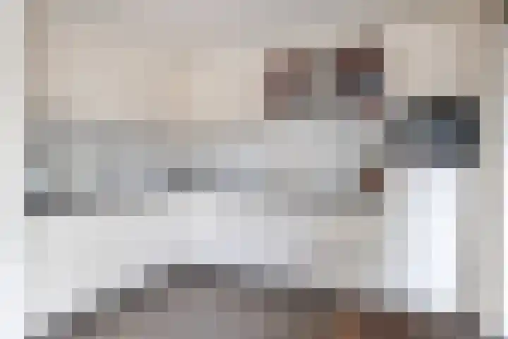 Tuinstraat 58 De Bilt thumbnail 5